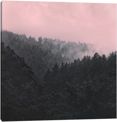Mist & Fog Art: Canvas Prints & Wall Art | iCanvas