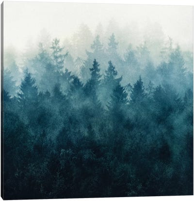 The Heart Of My Heart I Canvas Art Print - Mist & Fog Art