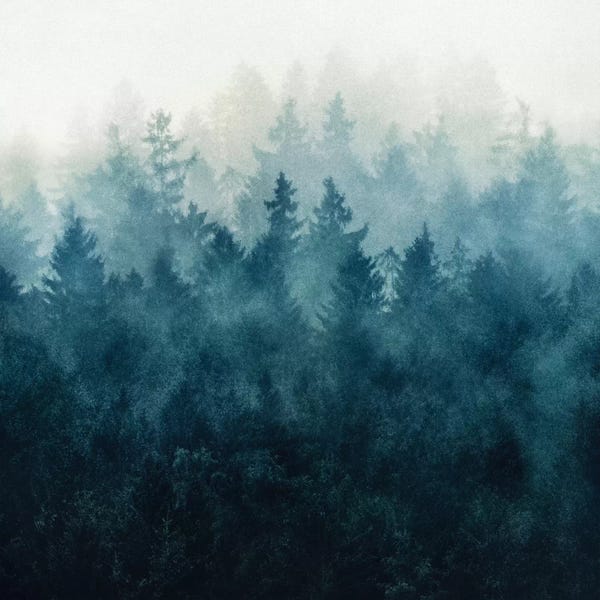 Large Photography - Canvas Prints: The Heart Of My Heart I by Tordis Kayma