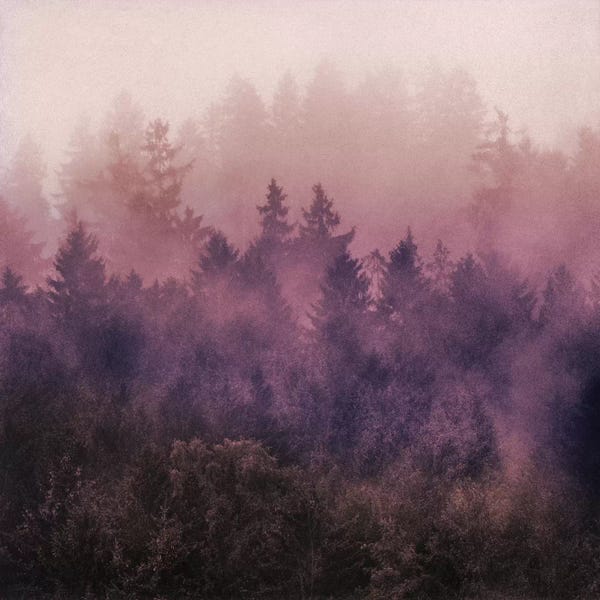 Mist & Fog: The Heart Of My Heart II by Tordis Kayma