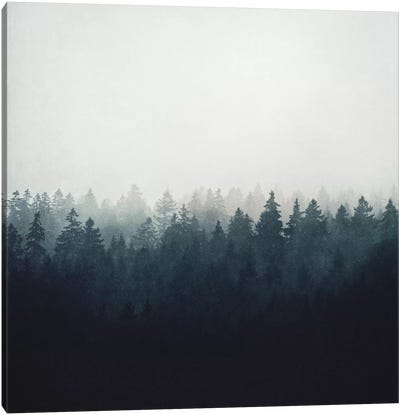 A Wilderness Somewhere Canvas Art Print - Evergreen Tree Art