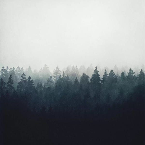 A Wilderness Somewhere