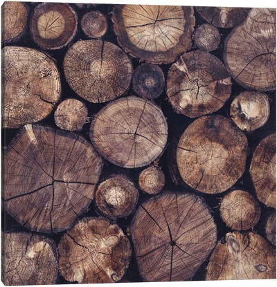 The Wood Holds Many Spirits Canvas Art Print - Tree Close-Up Art