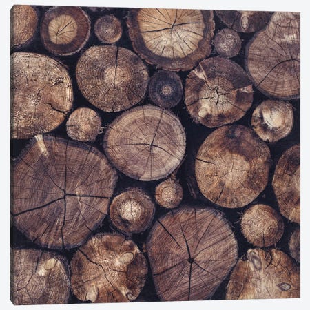 The Wood Holds Many Spirits Canvas Print #TDS20} by Tordis Kayma Art Print