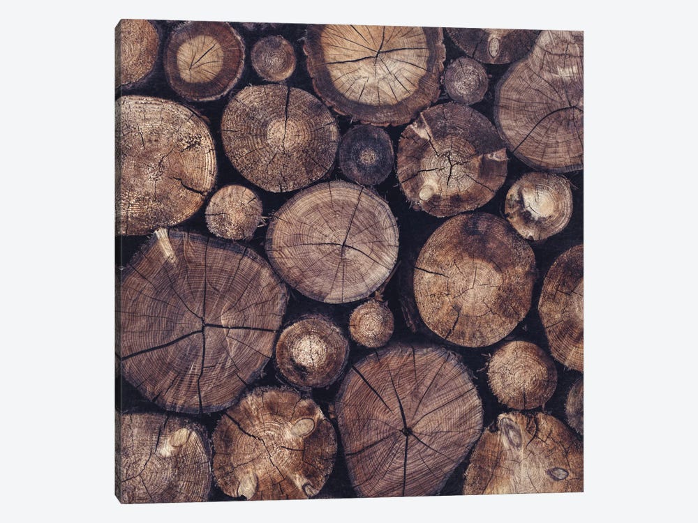 The Wood Holds Many Spirits by Tordis Kayma 1-piece Canvas Print