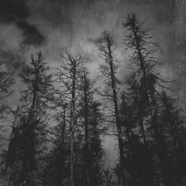 Gifts Inspired by folklore: Transmission by Tordis Kayma