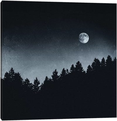 Under Moonlight Canvas Art Print - Evergreen Tree Art
