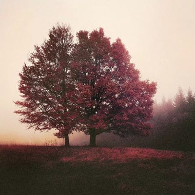 I Feel You by Tordis Kayma canvas print