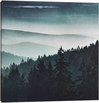 Mountain Light Canvas Art Print - Pine Tree Art