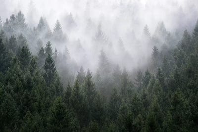 Home Is A Feeling by Tordis Kayma framed canvas print