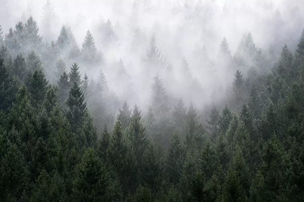 Atmospheric Photography: Home Is A Feeling by Tordis Kayma