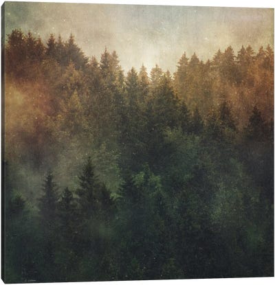 Asleep Canvas Art Print - Evergreen Tree Art