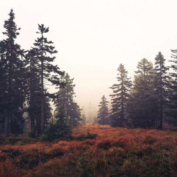 Atmospheric Photography: You Are Here by Tordis Kayma