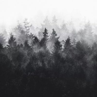 The Heart Of My Heart IV by Tordis Kayma canvas print