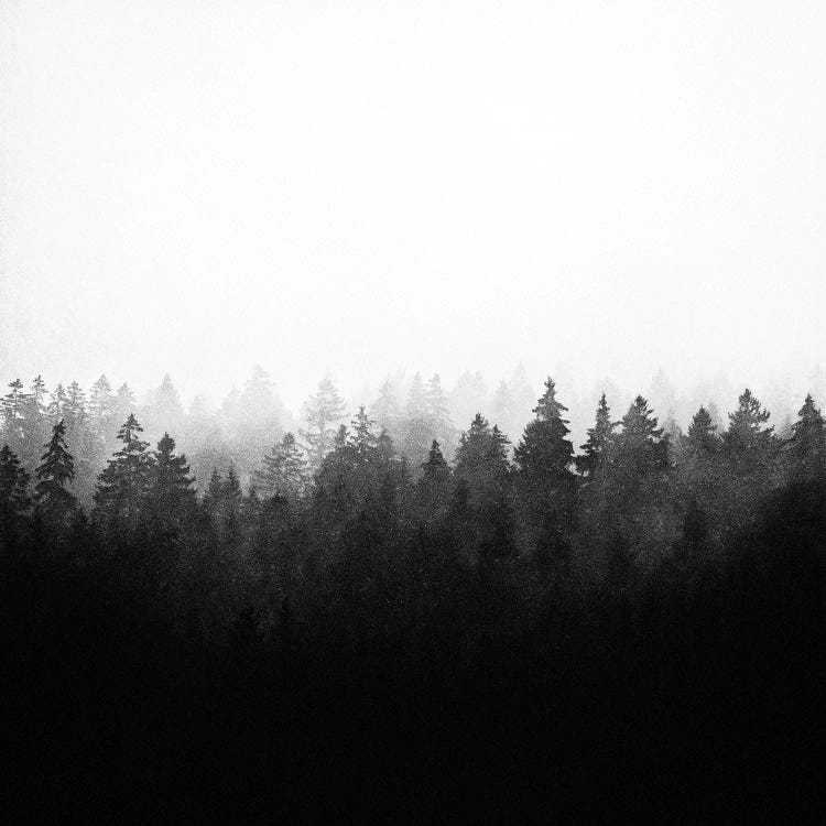 A Wilderness Somewhere II by Tordis Kayma wall art