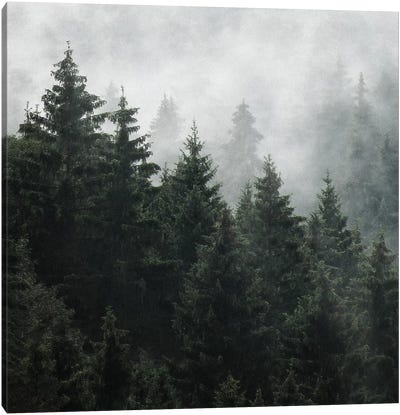 Waiting For Canvas Art Print - Pine Tree Art