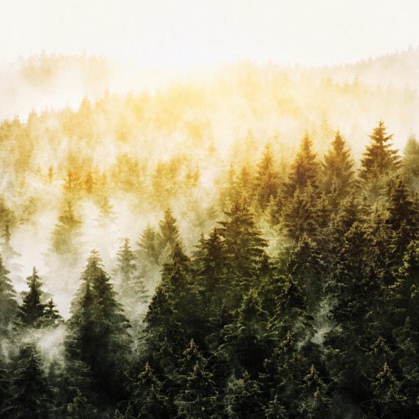 Nature Lover: Don't Wake Me Up by Tordis Kayma