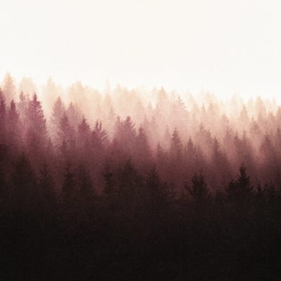 Chasing Light by Tordis Kayma canvas print