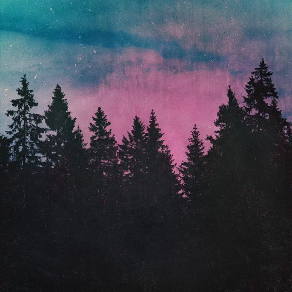 Evergreen Trees: Breathe This Air by Tordis Kayma