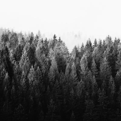 The Ridge by Tordis Kayma framed canvas print