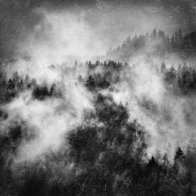 Recently by Tordis Kayma framed canvas print