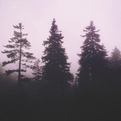 Leave In Silence by Tordis Kayma framed canvas print