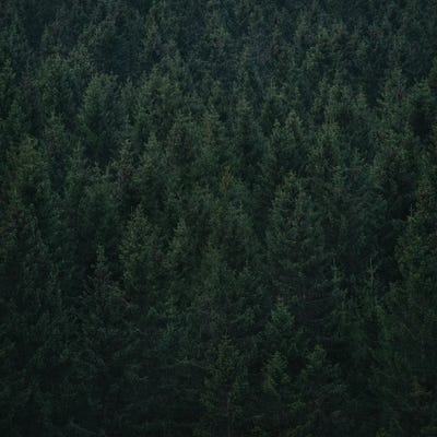 Army Of Me by Tordis Kayma canvas print