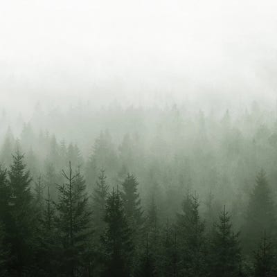 Step Into My Office by Tordis Kayma framed canvas print