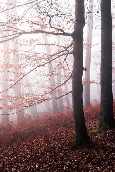 Atmospheric Photography: Stay With Me by Tordis Kayma