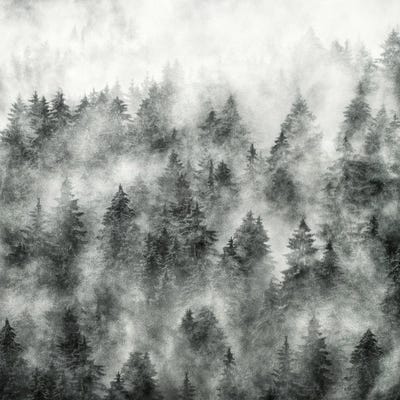 Everyday by Tordis Kayma framed canvas print