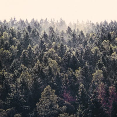 Come Home by Tordis Kayma framed canvas print