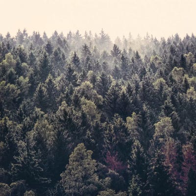 Come Home by Tordis Kayma framed canvas print