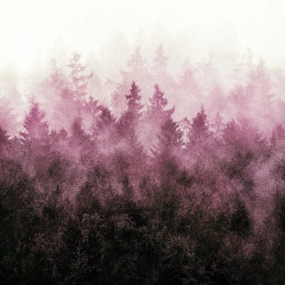 The Heart Of My Heart // Queen Of The Woods by Tordis Kayma framed canvas print