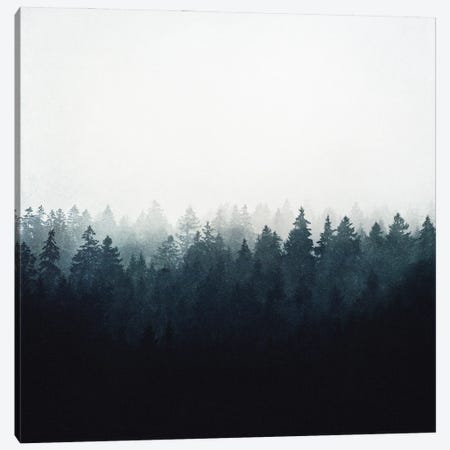 A Wilderness Somewhere Canvas Print #TDS62} by Tordis Kayma Art Print