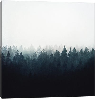 A Wilderness Somewhere Canvas Art Print