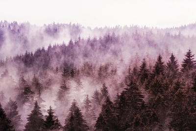 Why Don't We Disappear by Tordis Kayma framed canvas print