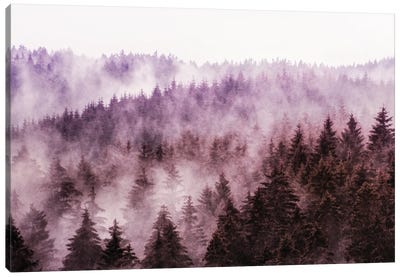 Tordis Kayma - Canvas Prints & Wall Art | iCanvas