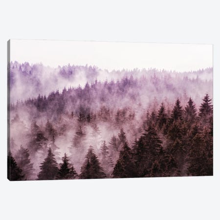 Why Don't We Disappear Canvas Print #TDS64} by Tordis Kayma Canvas Wall Art