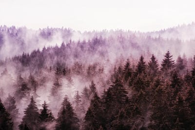 Why Don't We Disappaer by Tordis Kayma framed canvas print