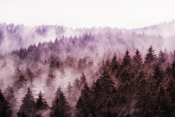 Why Don't We Disappaer