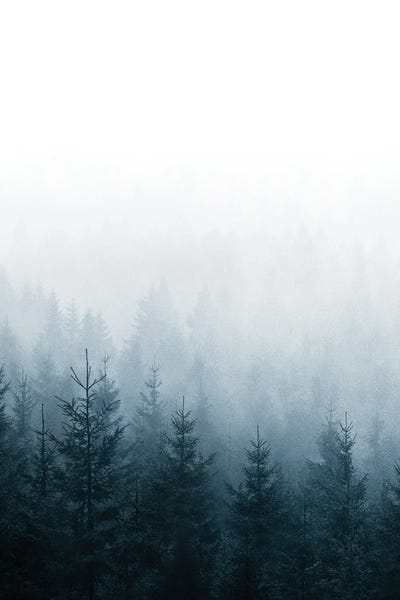 Step Into My Office Again