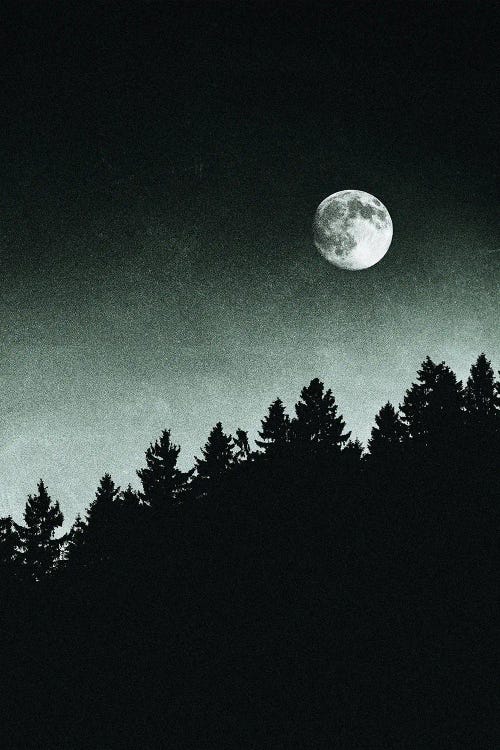 Under Moonlight by Tordis Kayma wall art