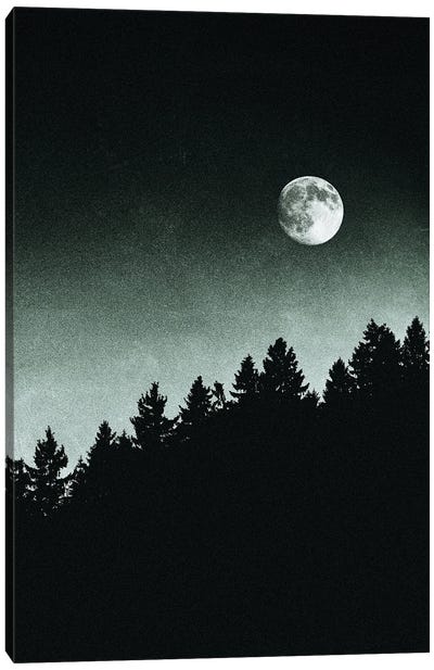 Under Moonlight Canvas Art Print - Tordis Kayma