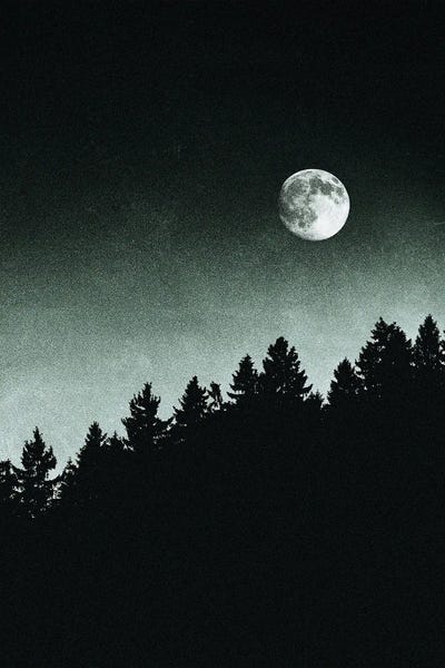 Under Moonlight