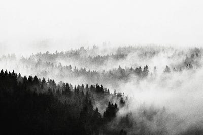 The Waves by Tordis Kayma canvas print