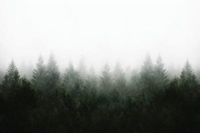 I Don't Give A Fog - Mountain View From A Place Of Reflection Unlocking The Mind by Tordis Kayma framed canvas print