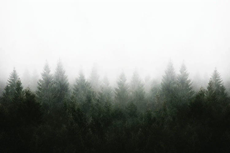 I Don't Give A Fog - Mountain View From A Place Of Reflection Unlocking The Mind