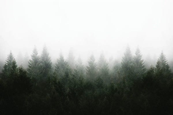 I Don't Give A Fog - Mountain View From A Place Of Reflection Unlocking The Mind