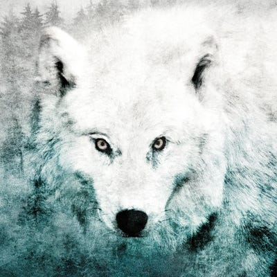 The Tenderness Of Wolves - Teenage Kicks by Tordis Kayma framed canvas print