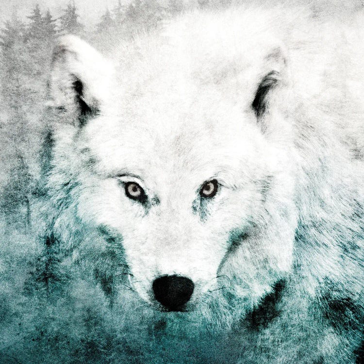 The Tenderness Of Wolves - Teenage Kicks by Tordis Kayma wall art